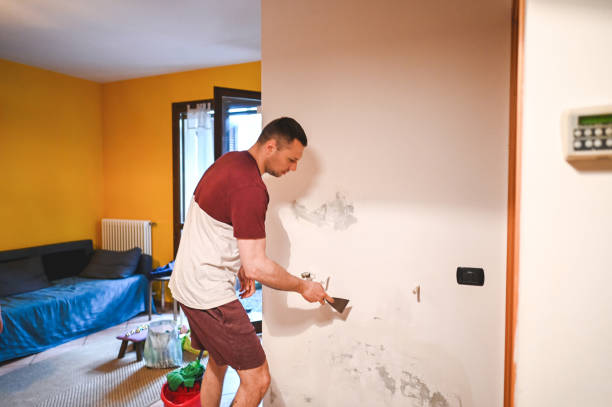 Best Black Mold Remediation in Avon Park, FL